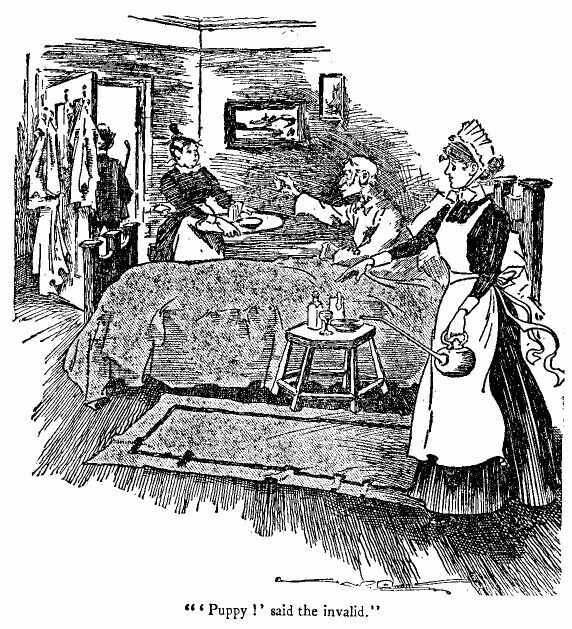 'Puppy!' Said the Invalid.' 