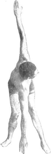 FIG. 11.&mdash;STRIDE, FINAL POSITION