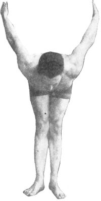 FIG. 17.&mdash;"WING" POSITION, ALSO BACK POSITION OF "CURL."
FACE SHOULD, HOWEVER, BE TURNED UP