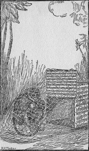 So he gave a jump out of the net, but, in a second,
found himself inside the wooden crate or box. (Page 47)