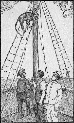 Away up to the top he went, and, curling his tail around
a rope, there he sat. (Page 71)