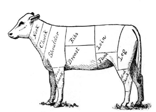 Fig. 2.&mdash;Diagram of cuts of veal.
