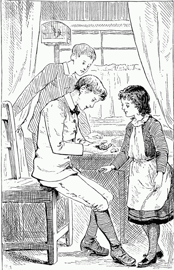 TOM SHOWING THE REDBREAST'S EGGS.

Page 29.