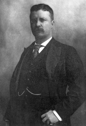 THEODORE ROOSEVELT THEODORE ROOSEVELT