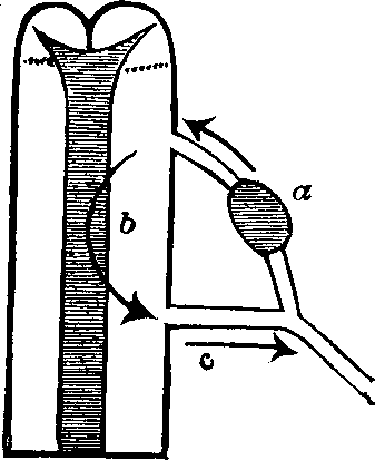 Illustration:
Fig. 57.