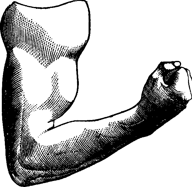 Illustration:
Fig. 110.