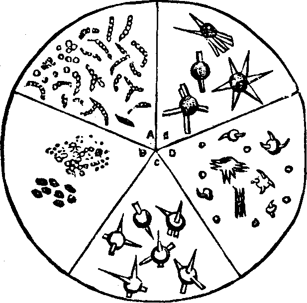 Illustration:
Fig. 5.