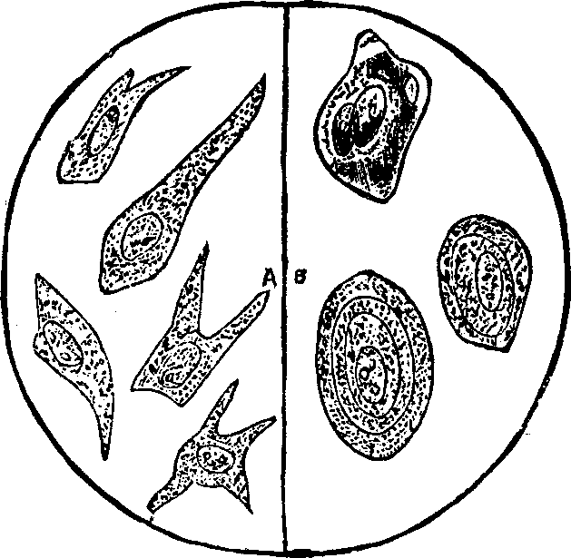 Illustration:
Fig. 8.