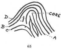 Fig. 65 Fig. 65