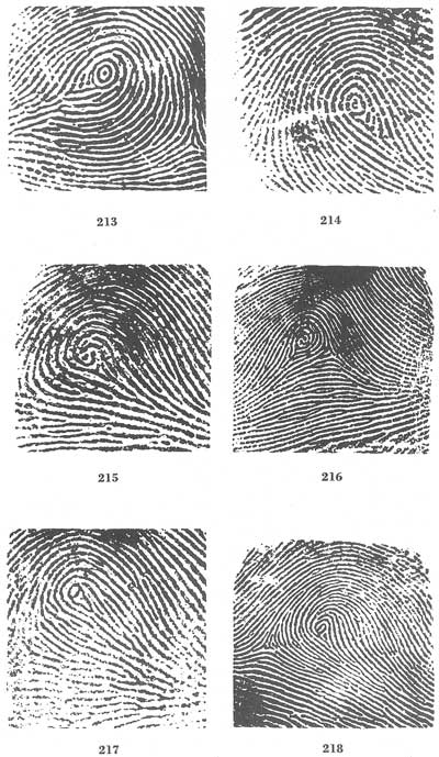Figs. 213-218 Figs. 213-218