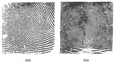 Figs. 255-256 Figs. 255-256