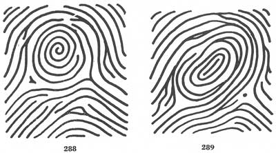 Figs. 288-289 Figs. 288-289