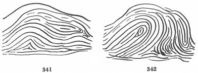 Figs. 341-342 Figs. 341-342