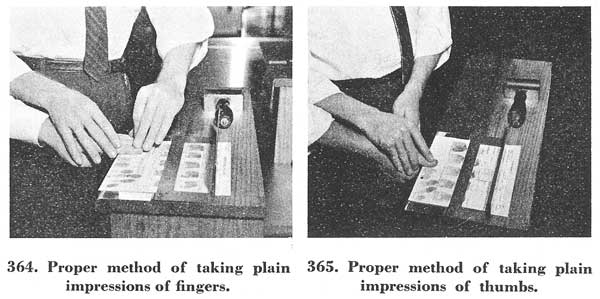 Figs. 364-365 Figs. 364-365