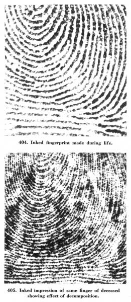 Fig. 404-405 Fig. 404-405