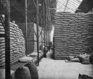PART OF A CACAO BEAN WAREHOUSE, SHOWING ENDLESS BAND CONVEYOR.
(Messrs. Cadbury Bros'. Works, Bournville).