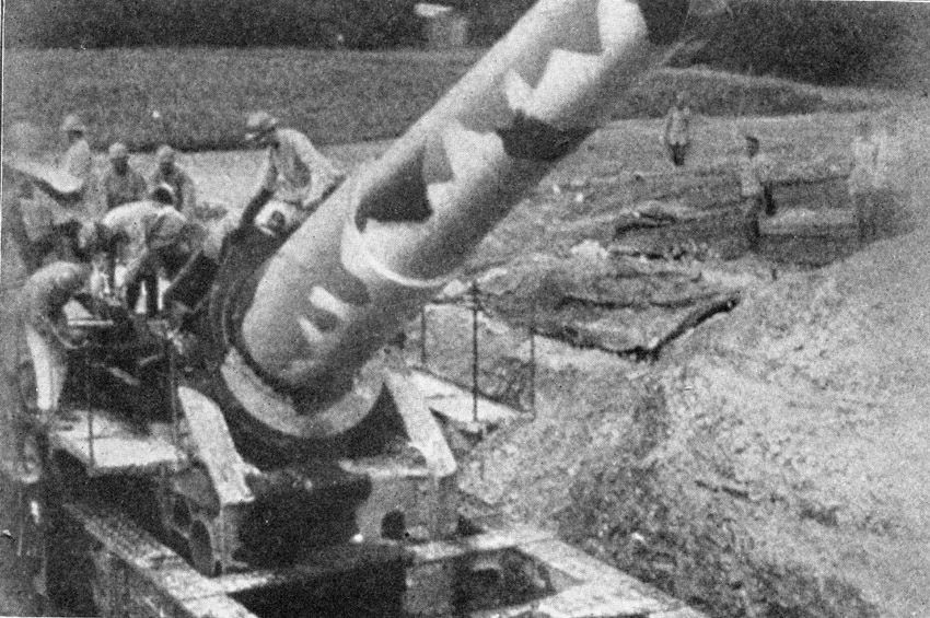 A Gun Painted to Escape the Observation of Enemy Airmen.