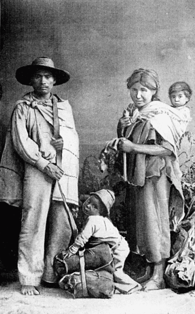 INDIANS OF THE PLATEAU. Illustration: INDIANS OF THE PLATEAU.