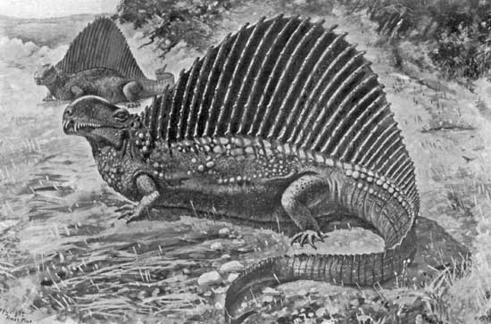 NAOSAURUS NAOSAURUS