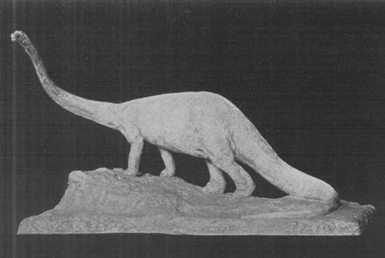 DIPLODOCUS DIPLODOCUS