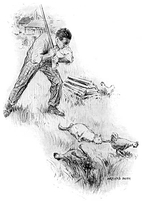 Things were not going very well on our model chicken
farm.