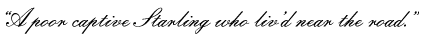 &ldquo;A poor captive Starling who liv’d near the road.&rdquo;