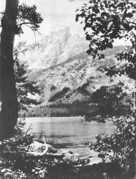 TEEWINOT ACROSS JENNY LAKE

Crandall photo.