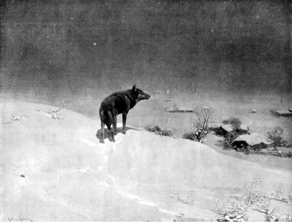 IN RUSSIA&mdash;THE TERROR OF THE PLAIN.
By Permission of the Berlin Photographic Co., Bond Street, W.