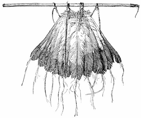 Fig. 1&mdash;Feather wand of Eagle dance (made by John Ax).