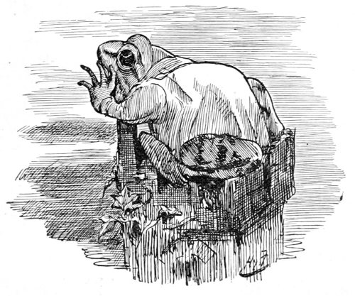 &lsquo;STILL HE SITS IN MISERIE&rsquo;