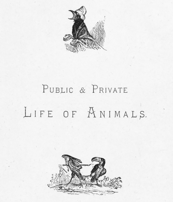 Public & Private
Life OF Animals.