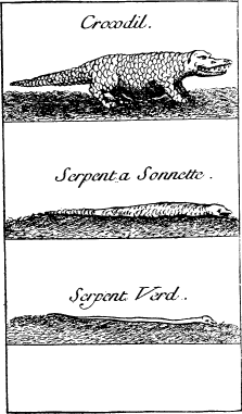 TOP: Alligator&mdash;MIDDLE: Rattle Snake&mdash;BOTTOM:
Green Snake